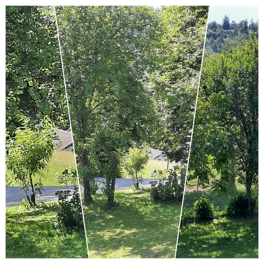 Holiday Home Neokrnjena Narava Sevnica Экстерьер фото