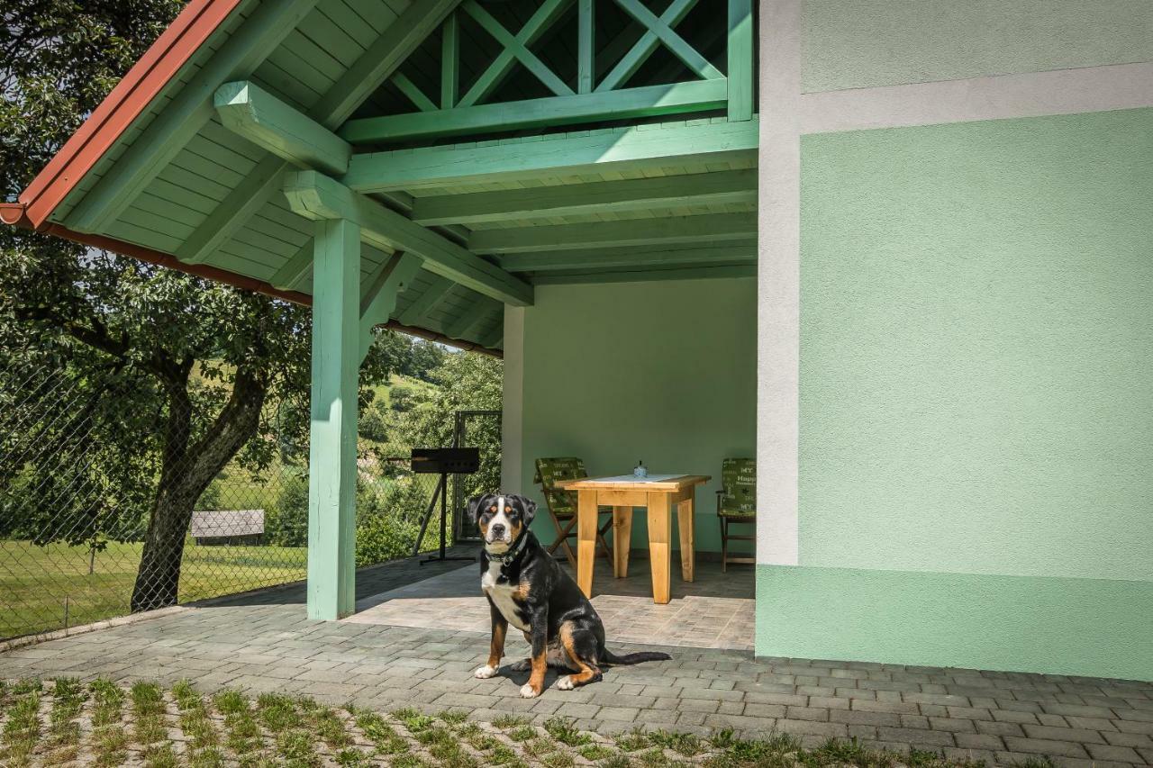 Holiday Home Neokrnjena Narava Sevnica Экстерьер фото